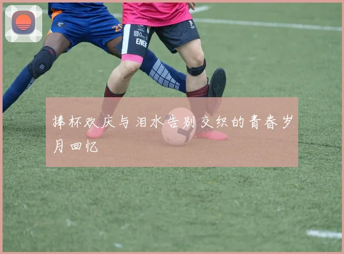 捧杯欢庆与泪水告别交织的青春岁月回忆
